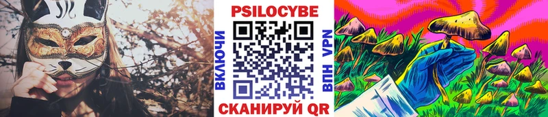 магазин  наркотиков  Удачный  Галлюциногенные грибы Cubensis 